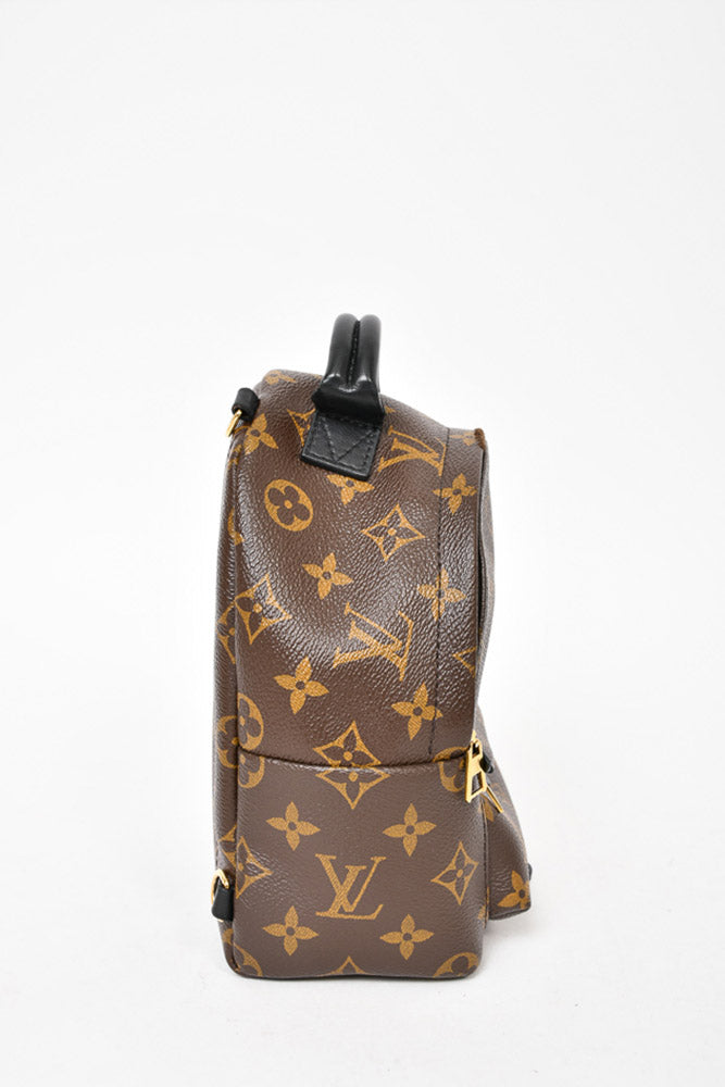 Louis Vuitton Monogram Palm Spring Mini Backpack