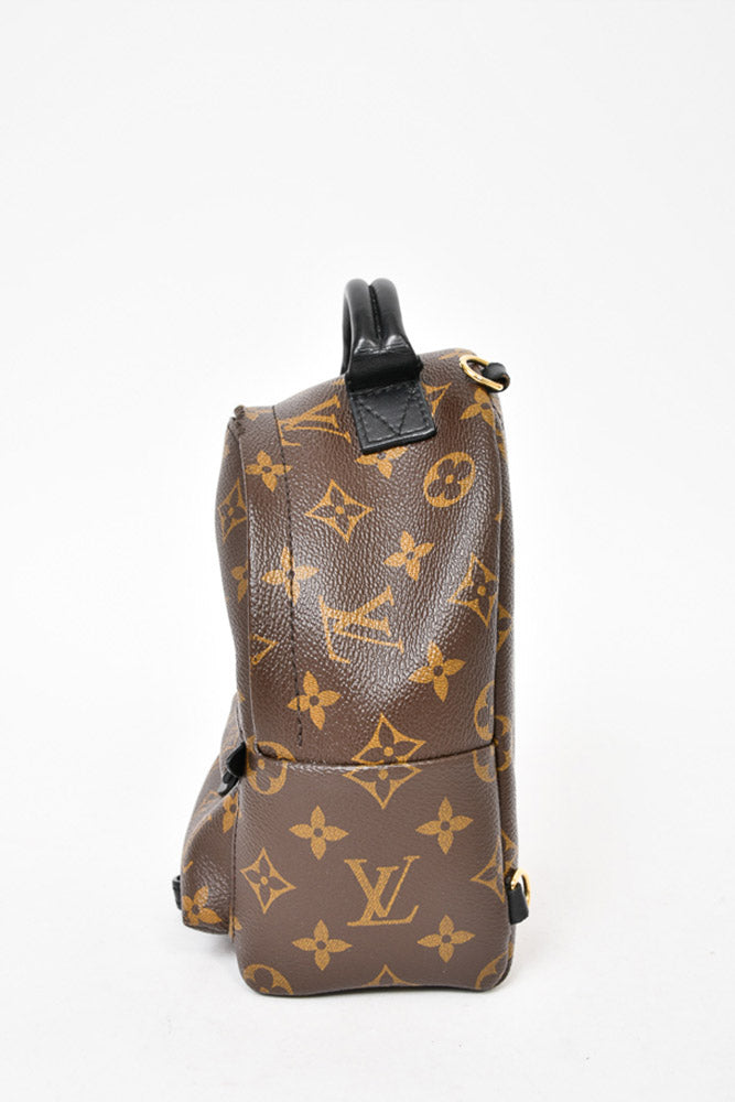 Louis Vuitton Monogram Palm Spring Mini Backpack