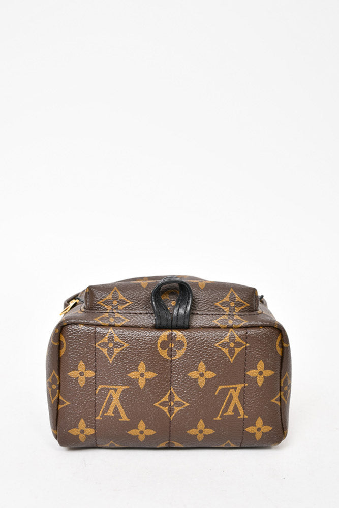 Louis Vuitton Monogram Palm Spring Mini Backpack