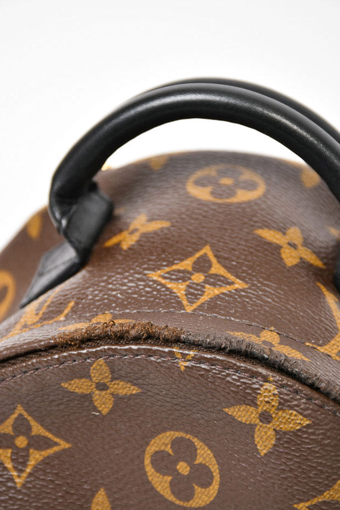 Louis Vuitton Monogram Palm Spring Mini Backpack