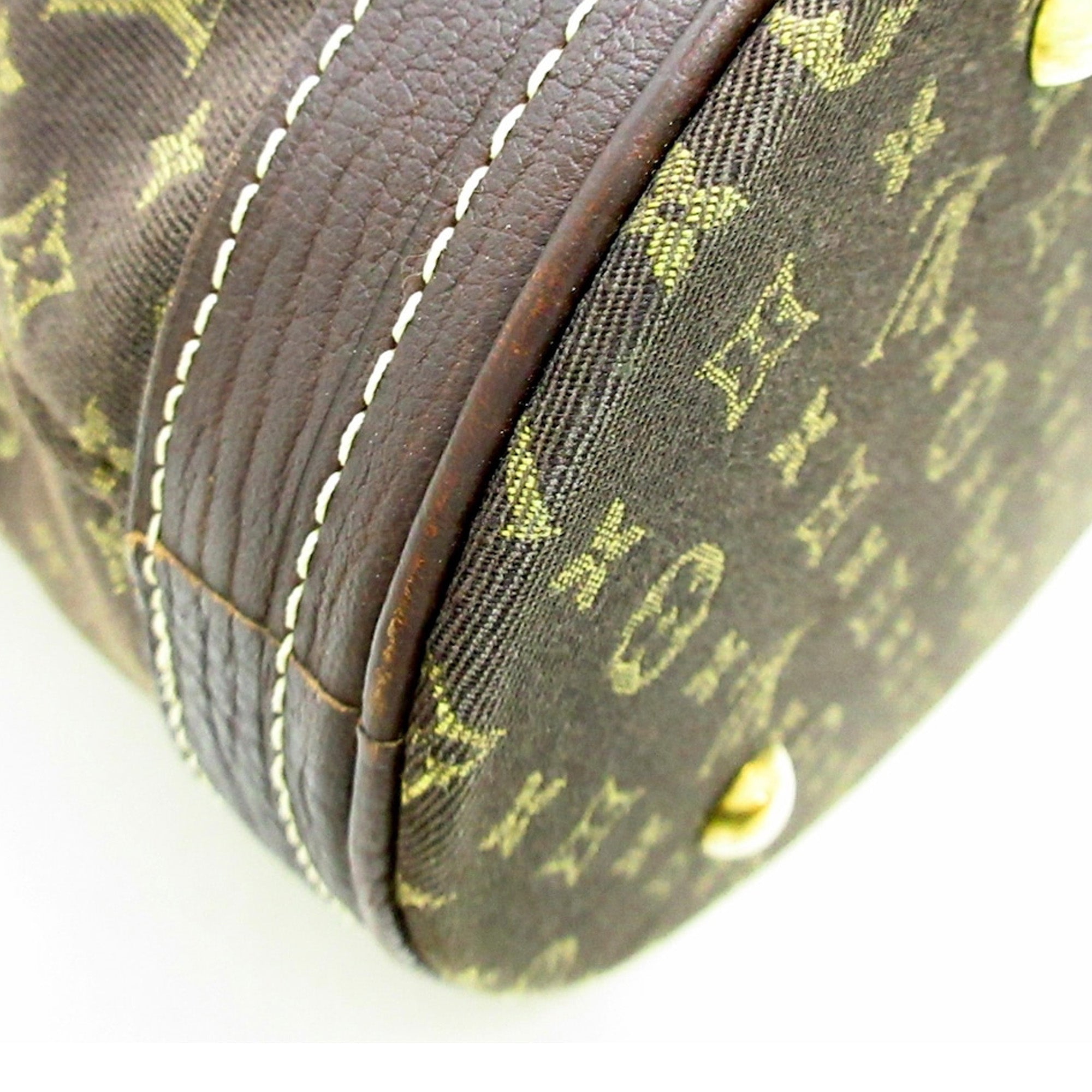 LOUIS VUITTON Monogram Mini Lin Bucket PM Bucket Bag