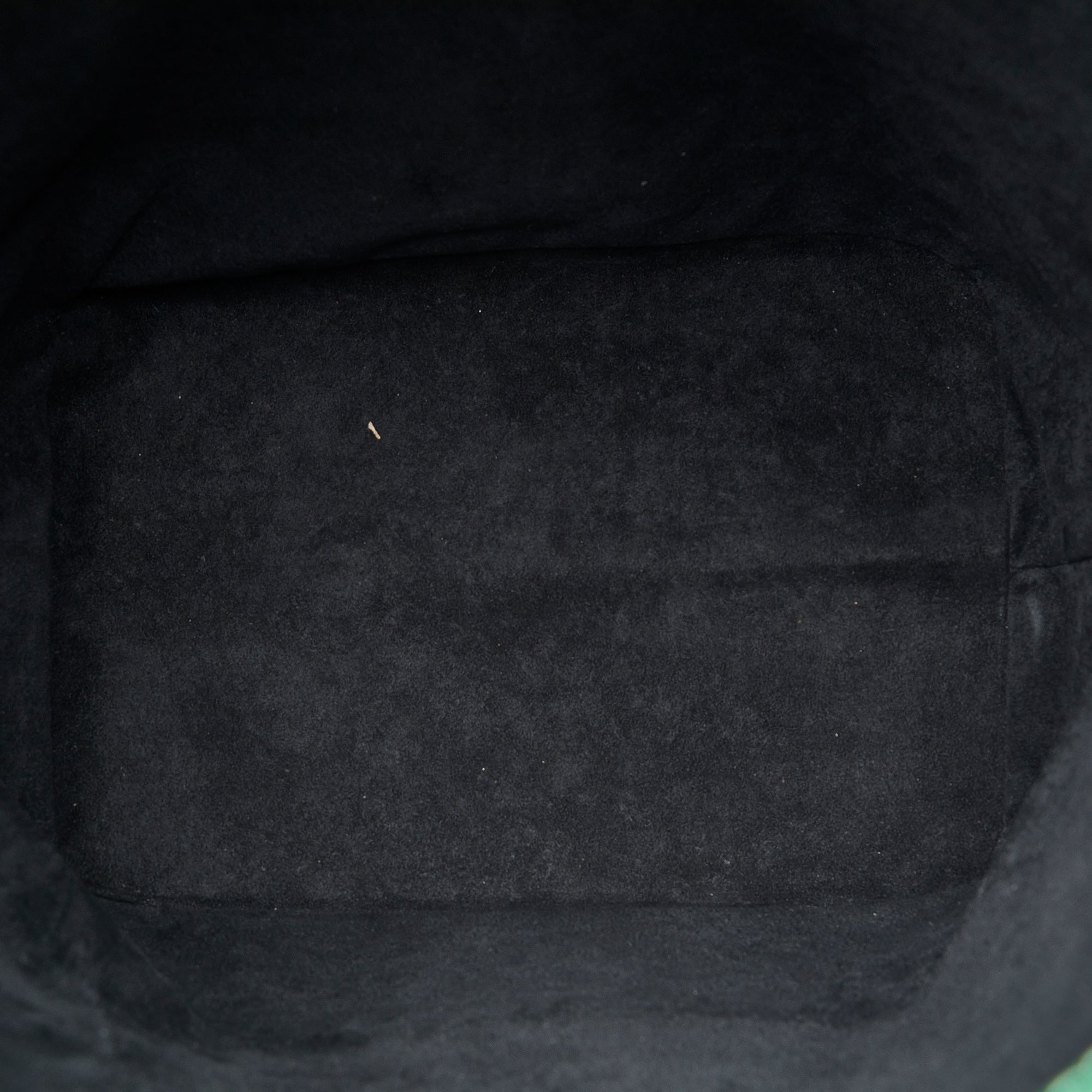 LOUIS VUITTON Epi Tricolor Noe GM Bucket Bag