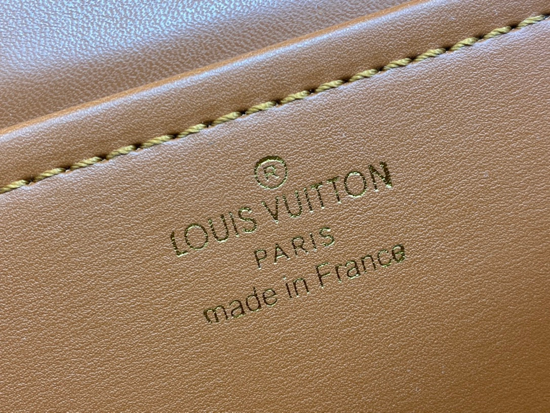 Luxury Bags Louis Vuitton  742