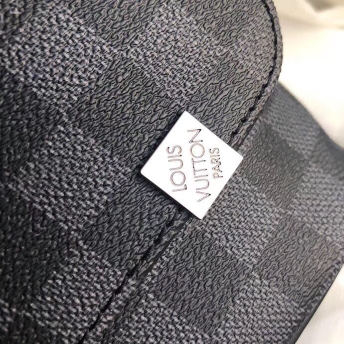 Louis Vuitton Luxury Bags 2704