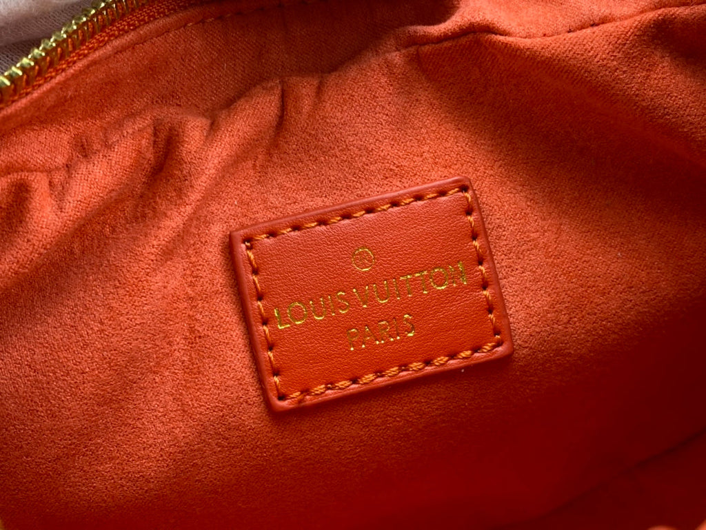 Luxury Bags Louis Vuitton  763