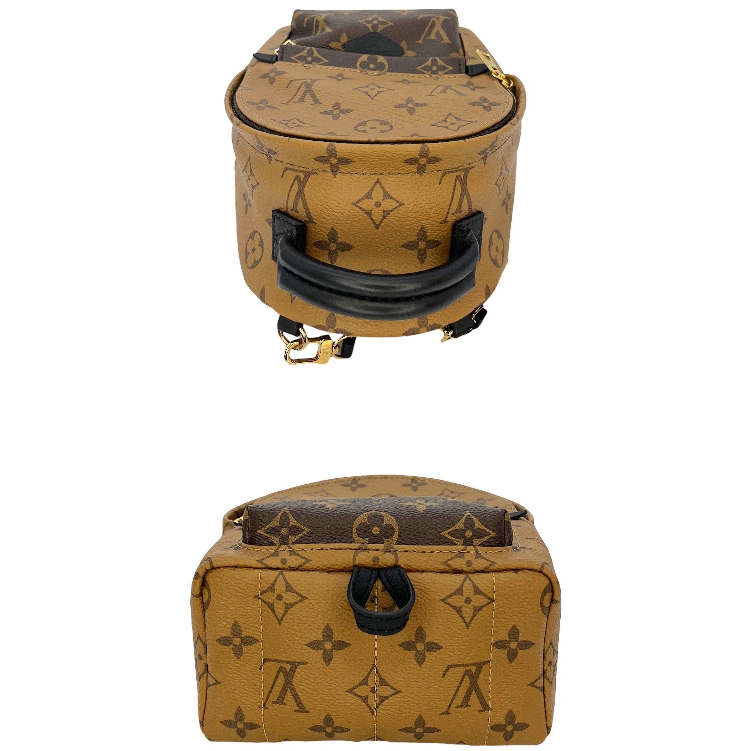 Louis Vuitton Monogram Reverse Mini Palm Springs Backpack