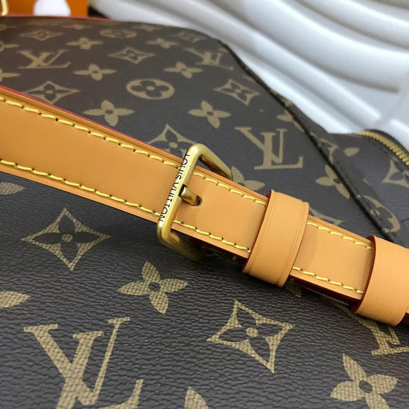 Louis Vuitton Luxury Bags 2556