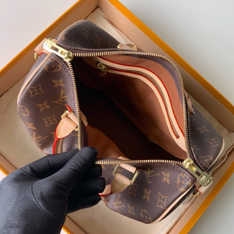 Louis Vuitton Luxury Bags 2663