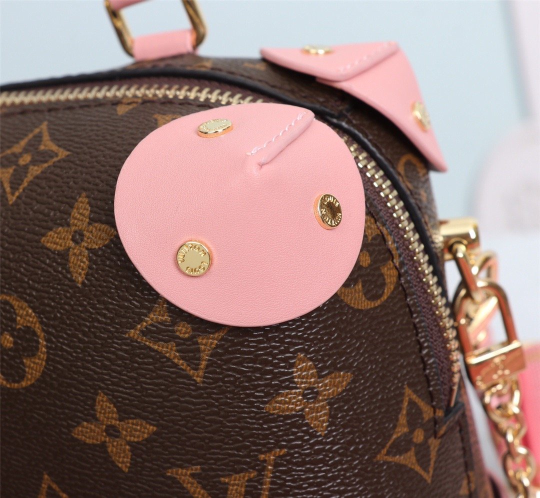 Designer Handbags louis vuitton 027