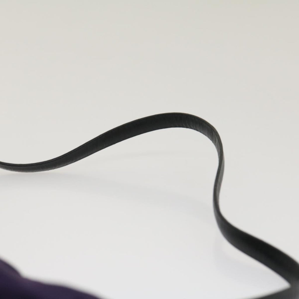 PRADA Accessory Pouch Nylon Purple  ar7076
