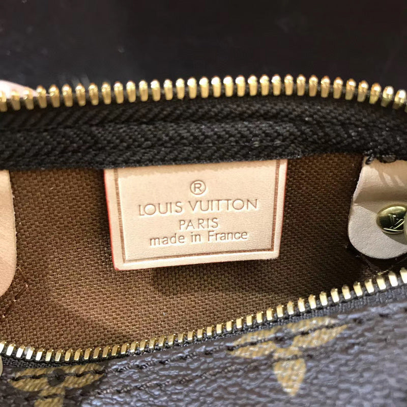 Louis Vuitton Luxury Bags 2478
