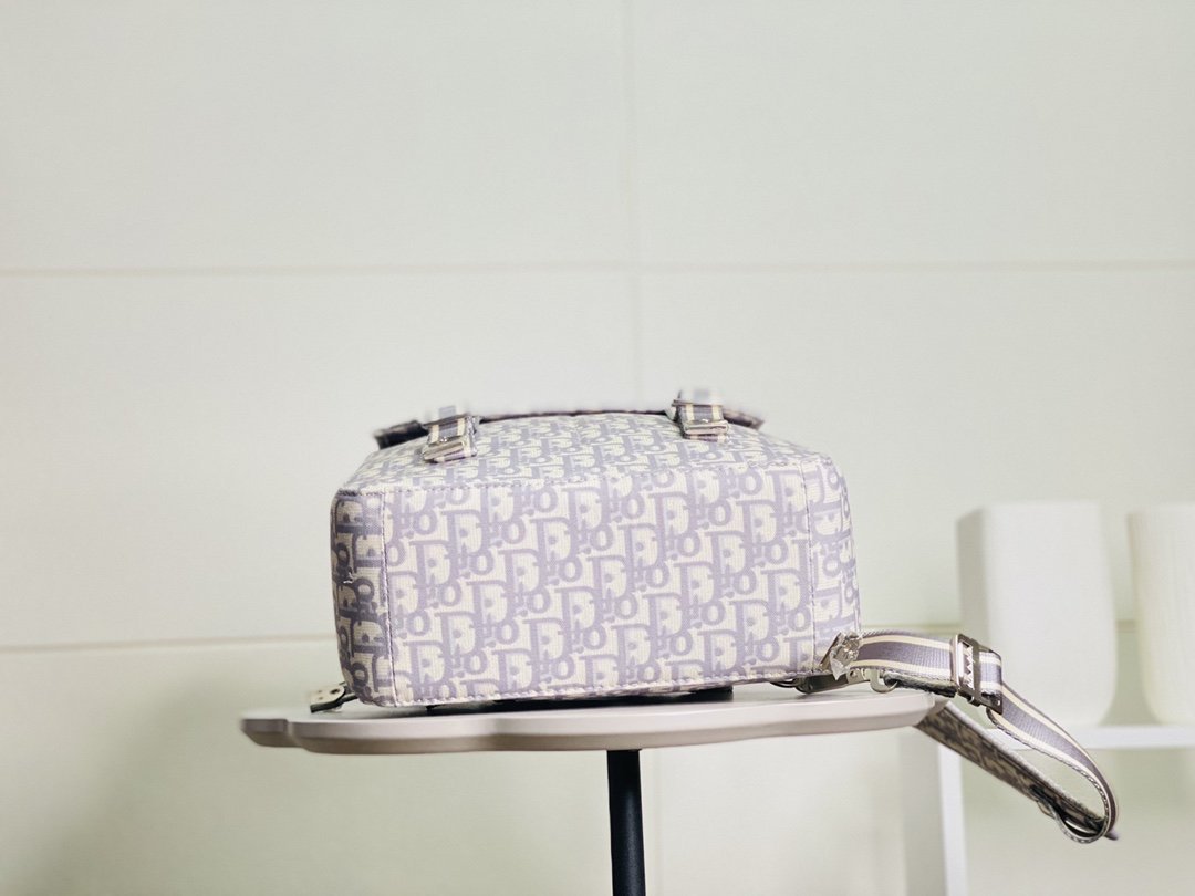 Designer Handbags dior 122