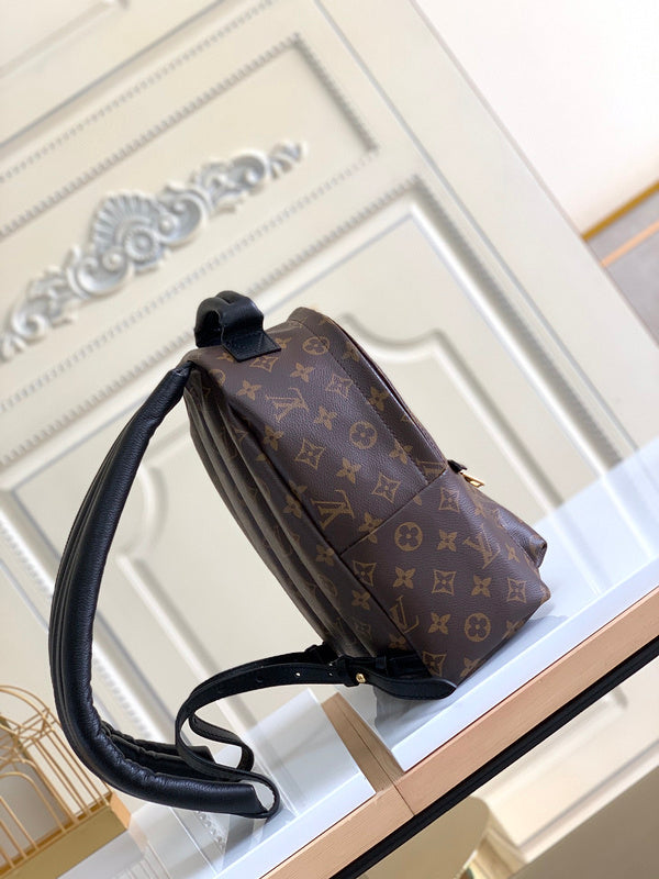 Louis Vuitton Luxury Bags 2824