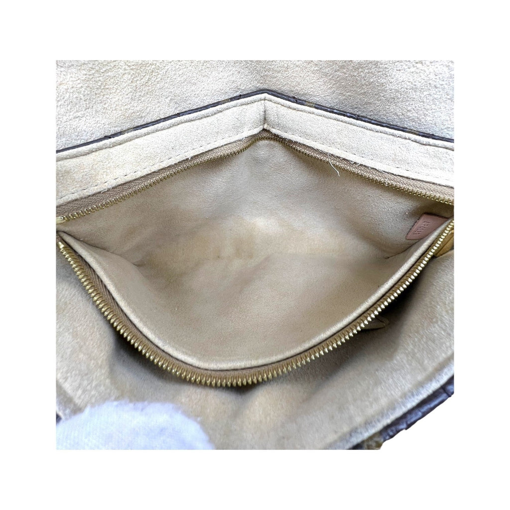 Louis Vuitton Monogram Etoile Clutch
