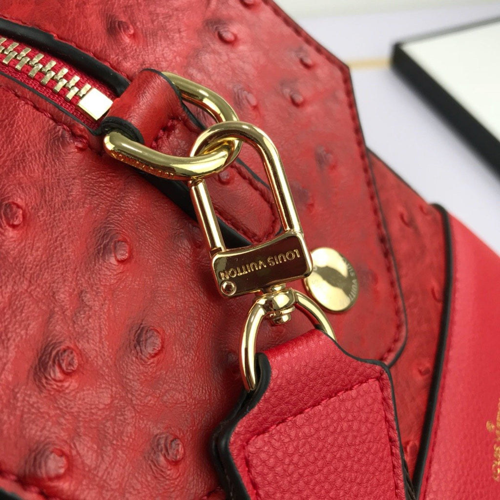 Designer Handbags louis vuitton 200