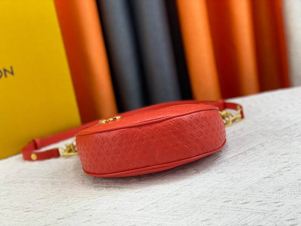 Luxury Bags Louis Vuitton  763
