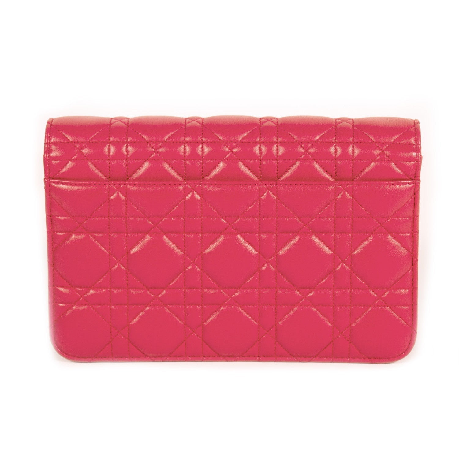 Christian Dior Miss Dior Promenade Pouch