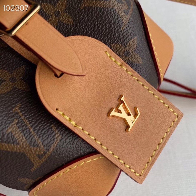 Louis Vuitton Luxury Bags 2695