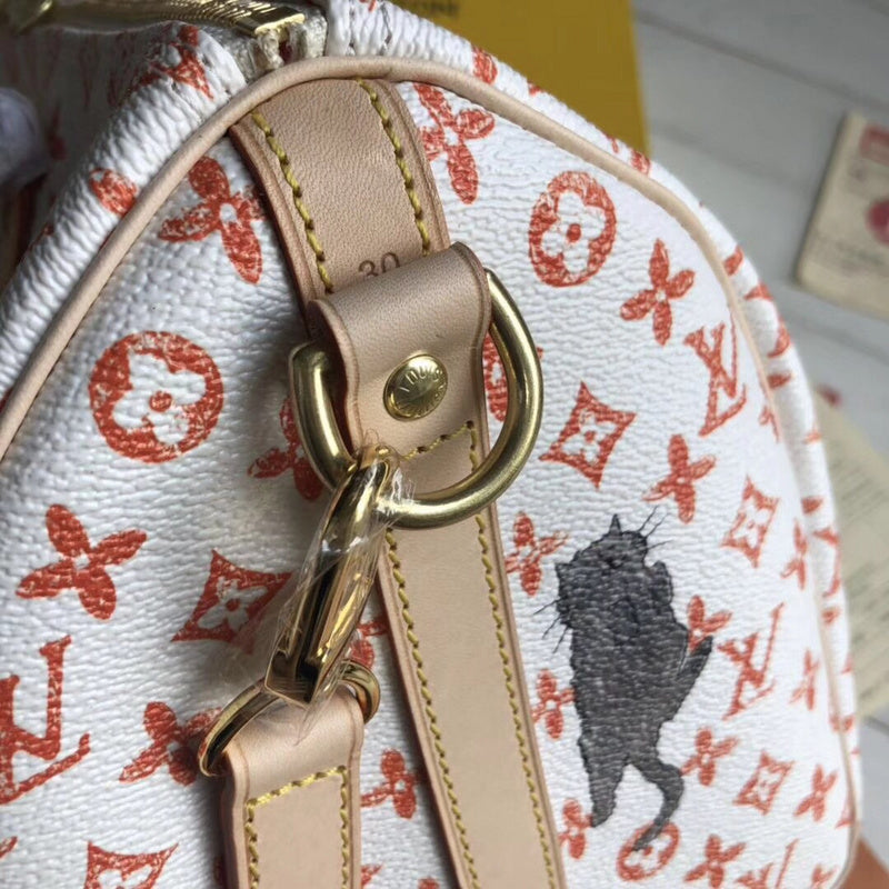 Louis Vuitton Luxury Bags 2055