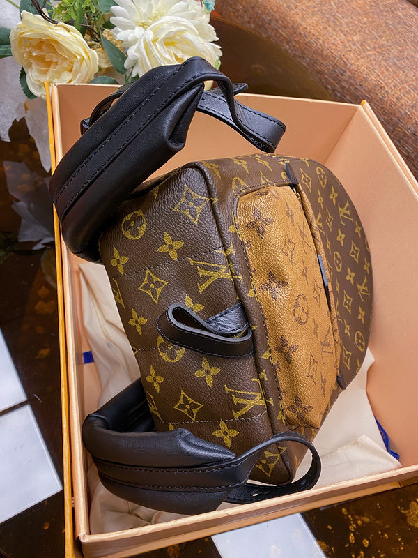 Louis Vuitton Luxury Bags 2827