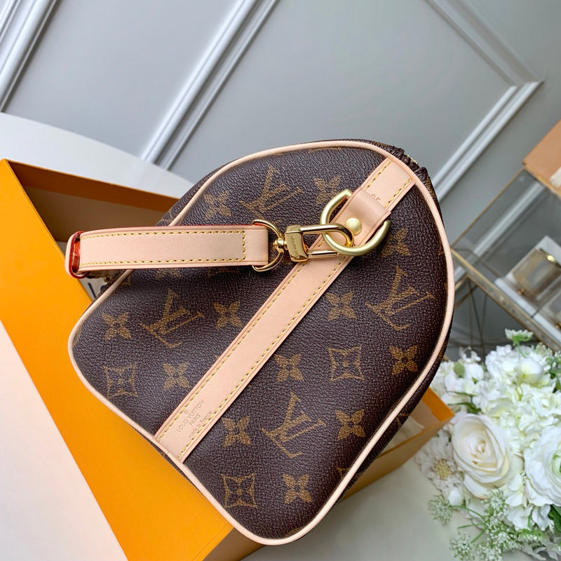 Louis Vuitton Luxury Bags 2663