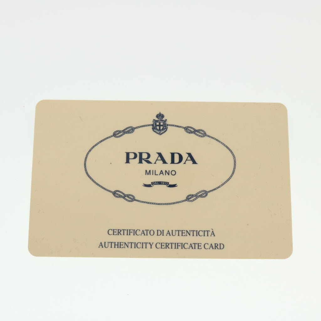 PRADA Hand Bag Canvas Gray  bs5598
