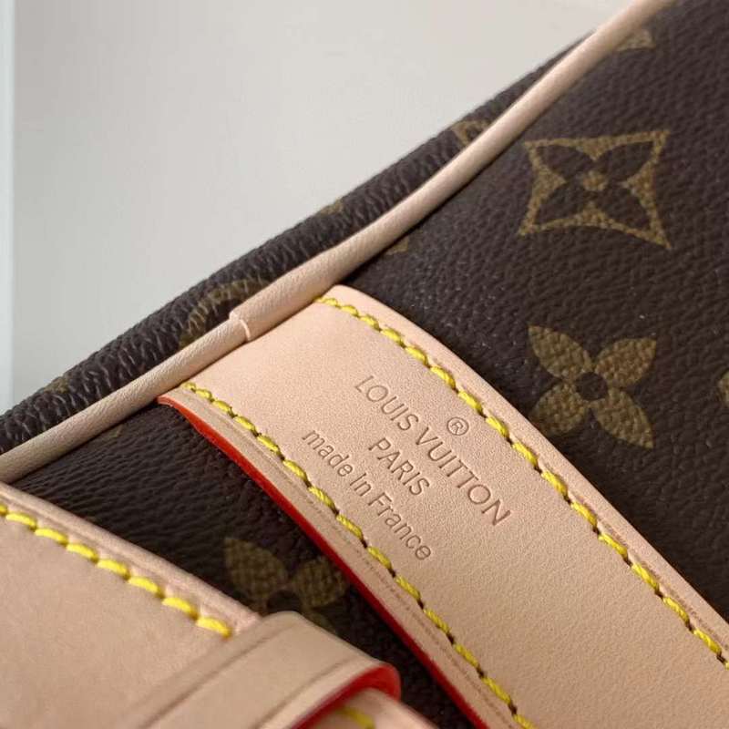Louis Vuitton Luxury Bags 2831