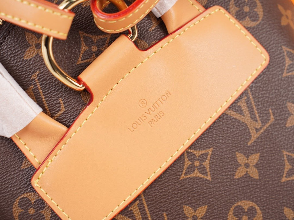 Designer Handbags louis vuitton 003