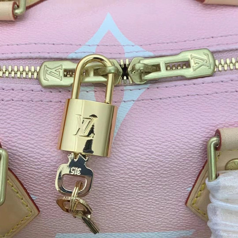 Louis Vuitton Luxury Bags 2524