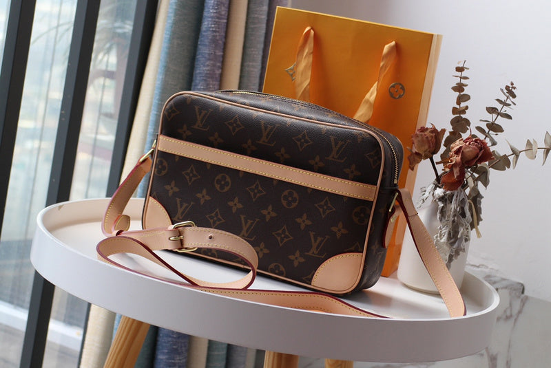 Louis Vuitton Luxury Bags 2667