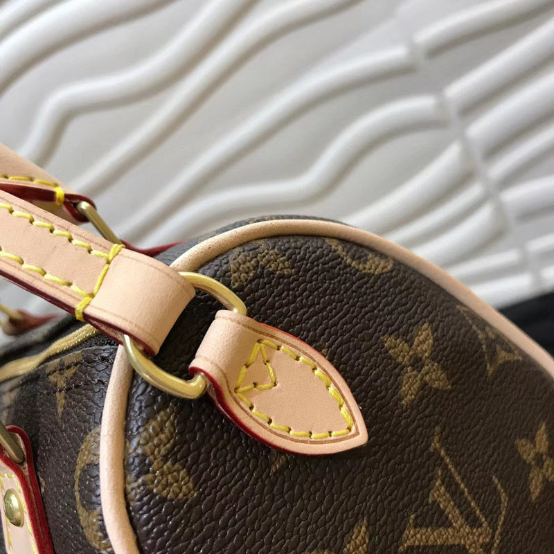 Louis Vuitton Luxury Bags 2478