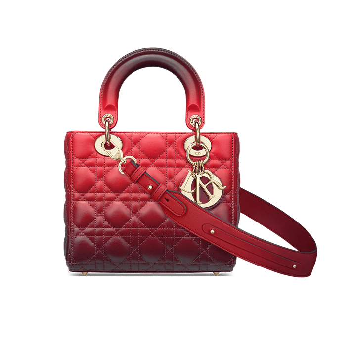 Lady Dior My ABCD Bag Raspberry Gradient Cannage Lambskin