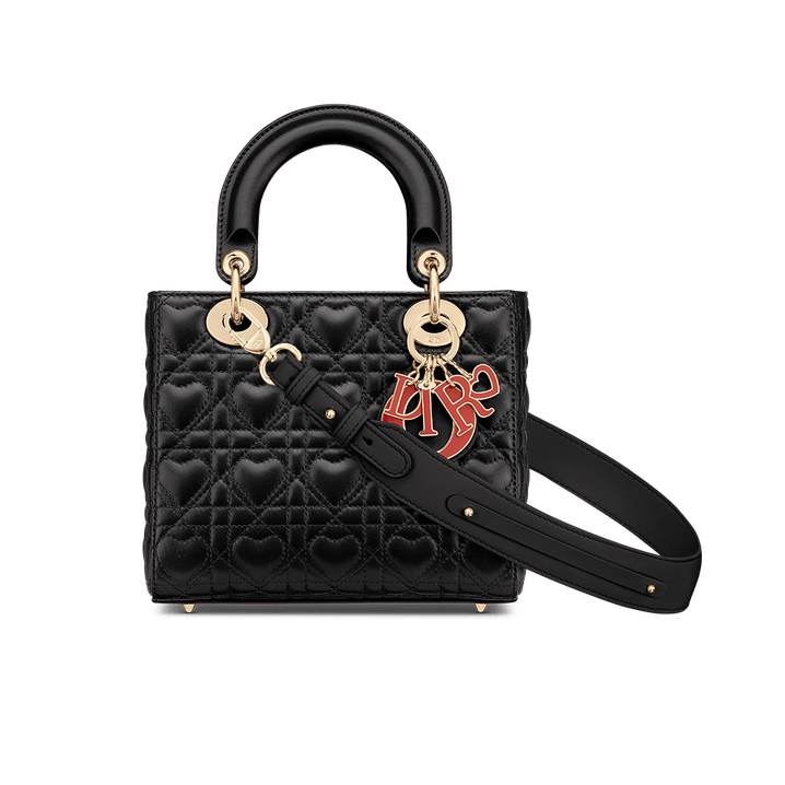 Dior amour My ABCD  Lady Di**r Bag