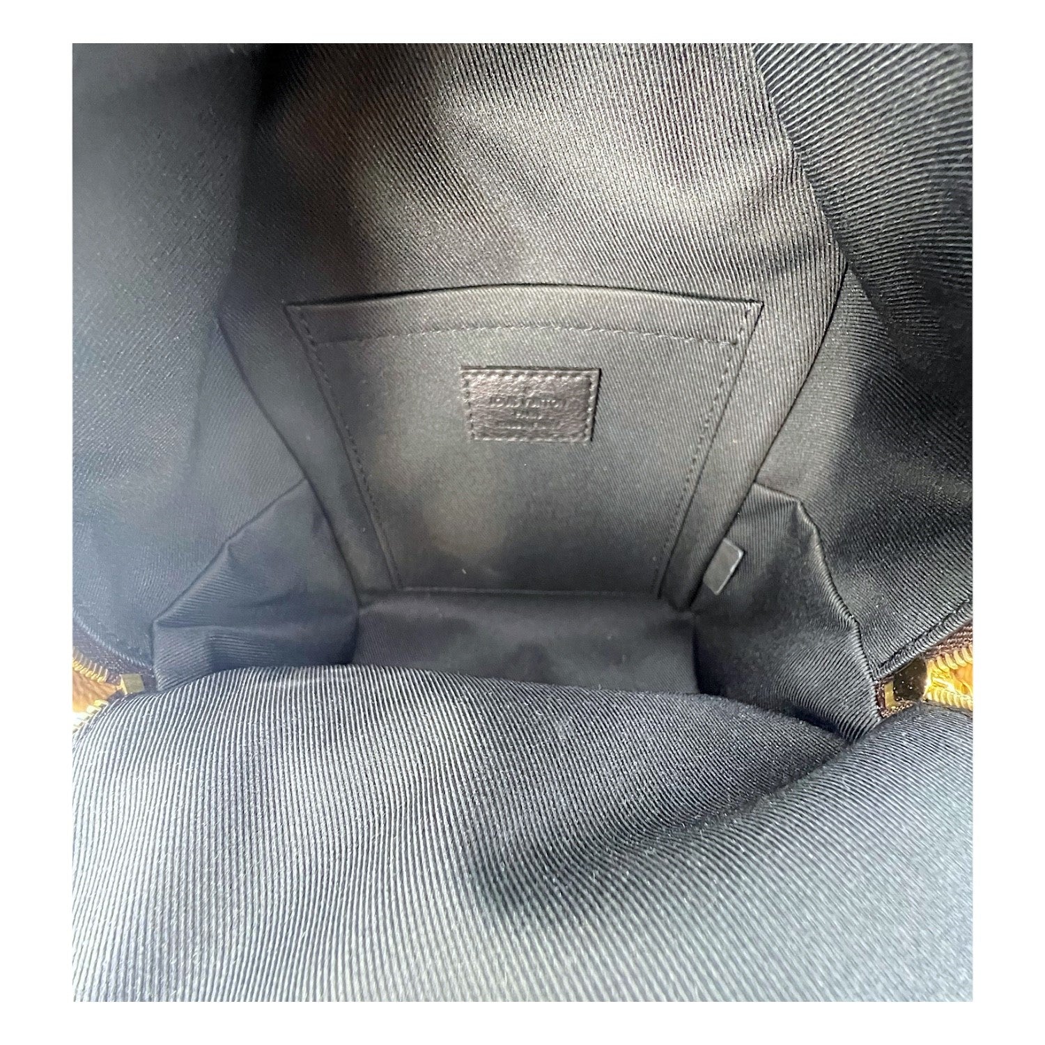 Louis Vuitton Monogram Reverse Mini Palm Springs Backpack