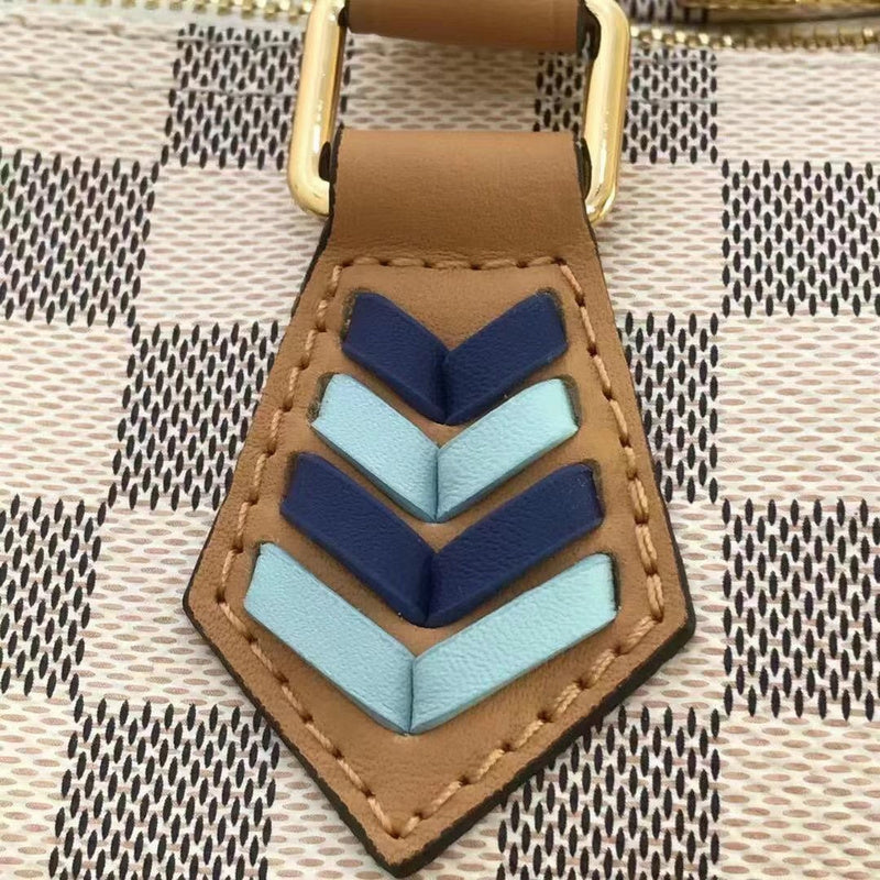 Louis Vuitton Luxury Bags 2449