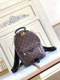 Louis Vuitton Luxury Bags 2824