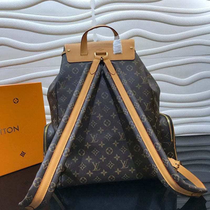 Louis Vuitton Luxury Bags 2556