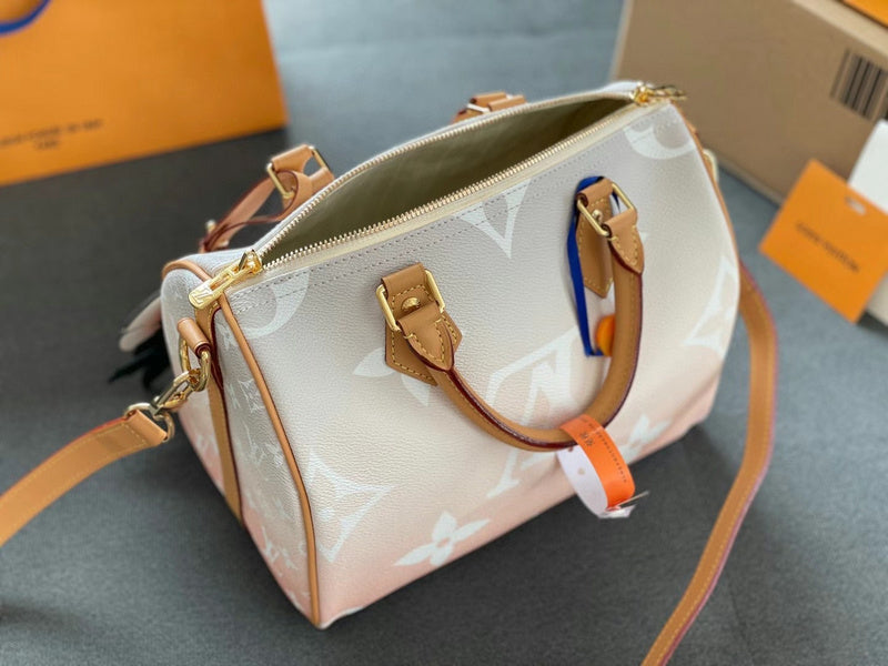 Louis Vuitton Luxury Bags 2523