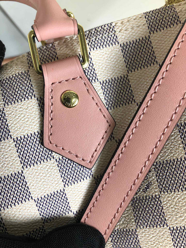 Louis Vuitton Luxury Bags 2019