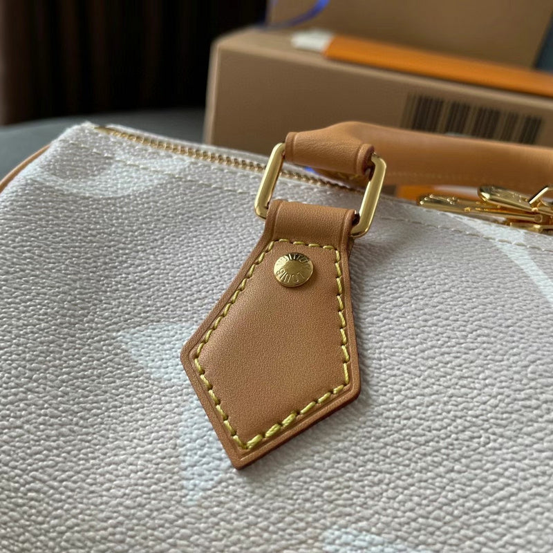 Louis Vuitton Luxury Bags 2523