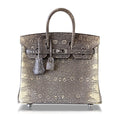 Hermès Birkin 25 Bag Ombre Lizard PHW