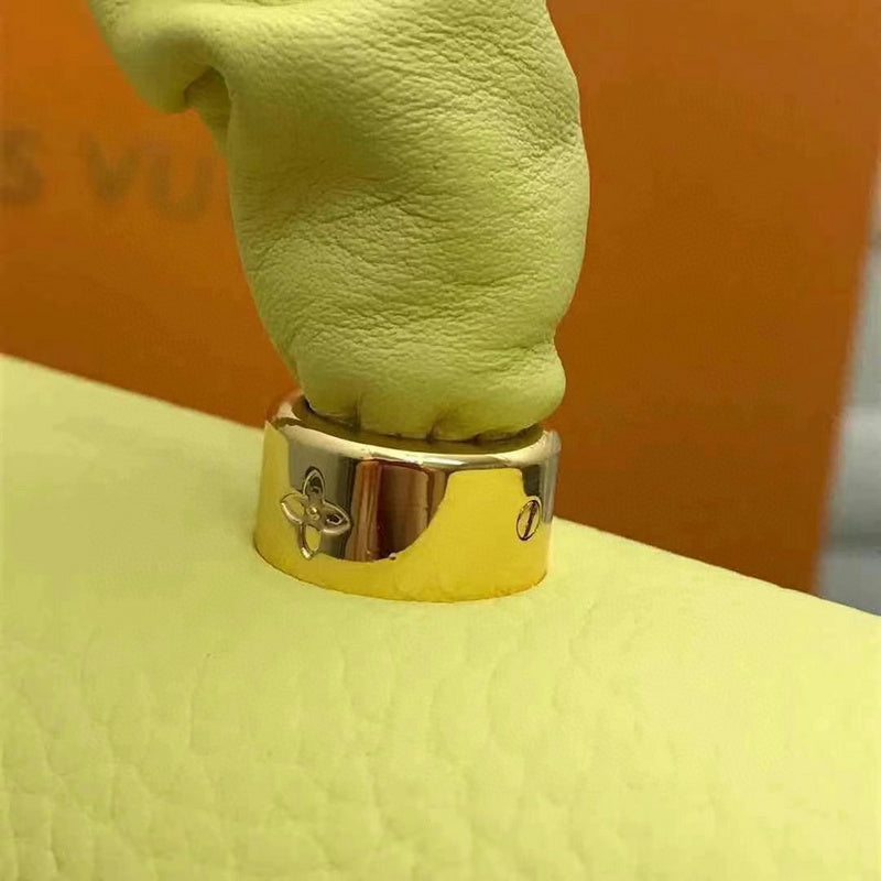 Louis Vuitton Luxury Bags 2481