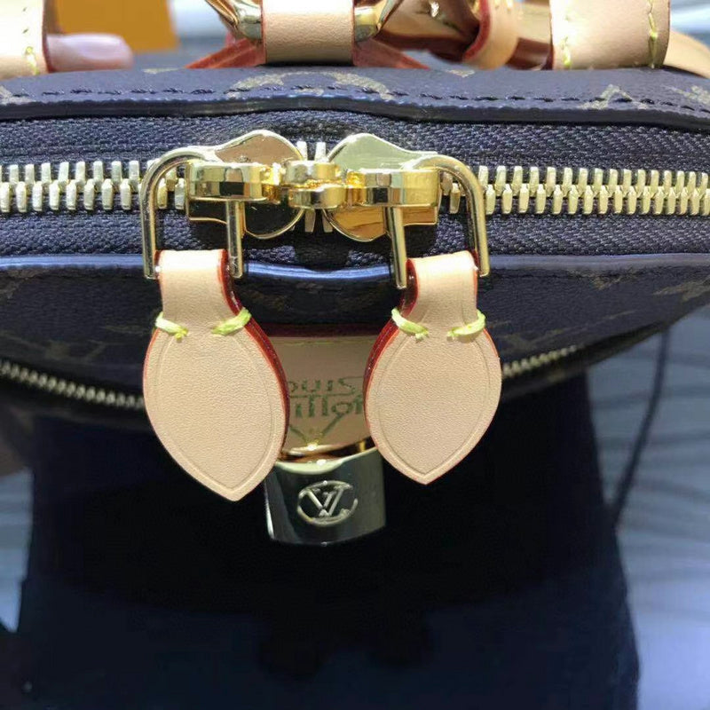 Louis Vuitton Luxury Bags 2551