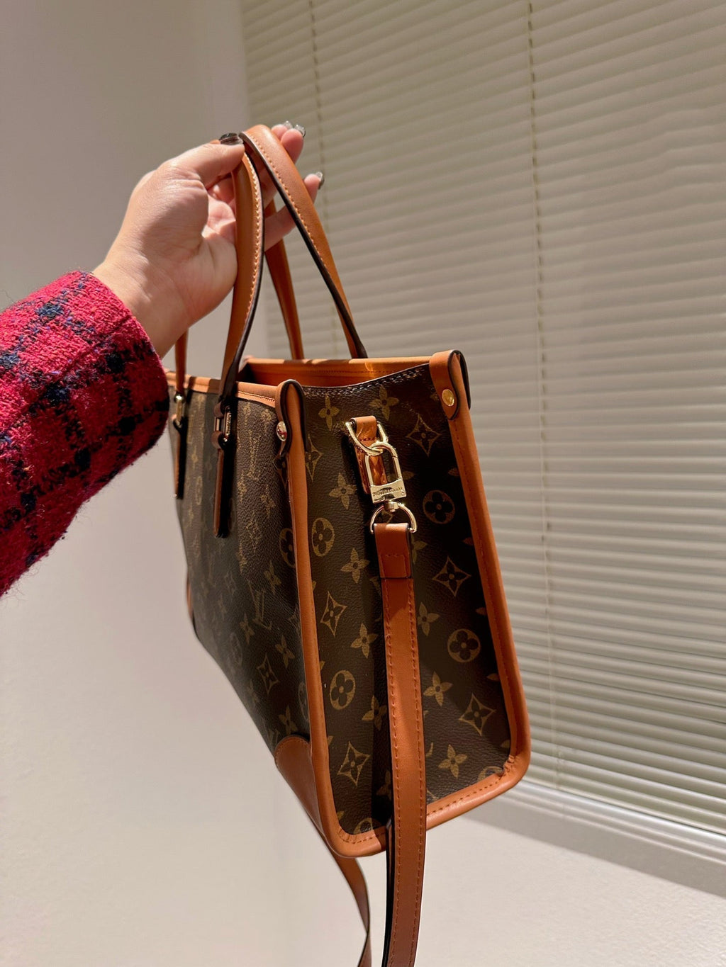 Luxury Bags Louis Vuitton  736