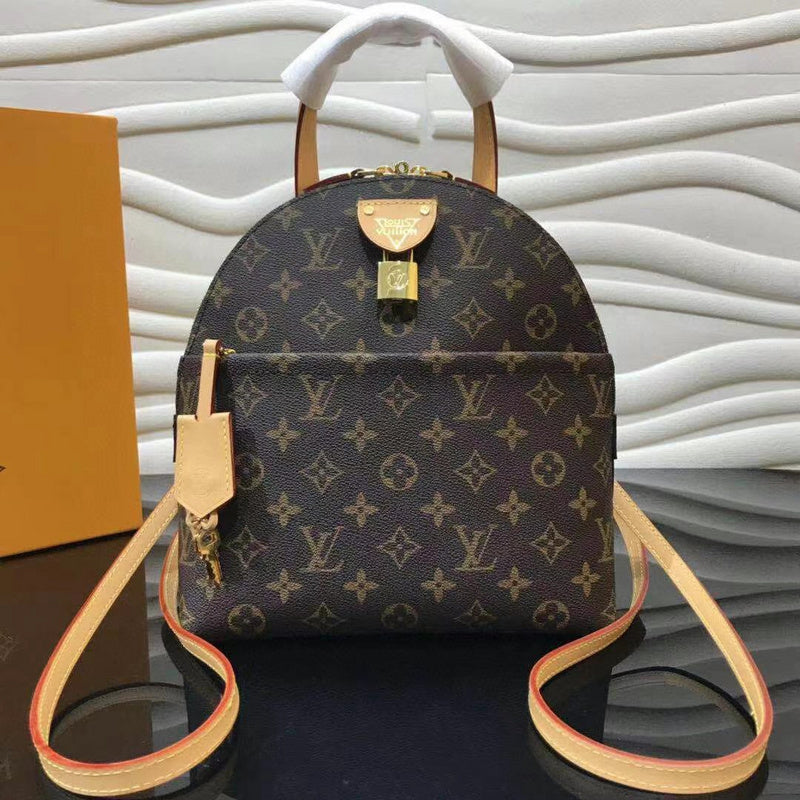Louis Vuitton Luxury Bags 2551