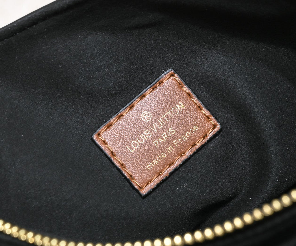 Luxury Bags Louis Vuitton  848