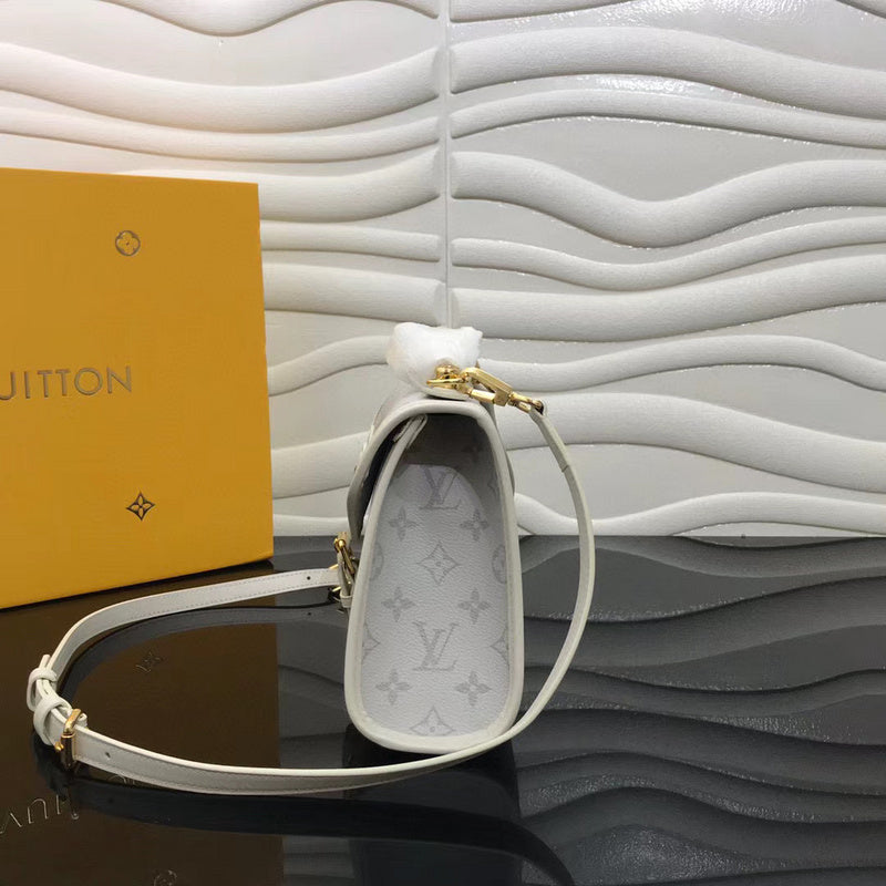 Louis Vuitton Luxury Bags 2552