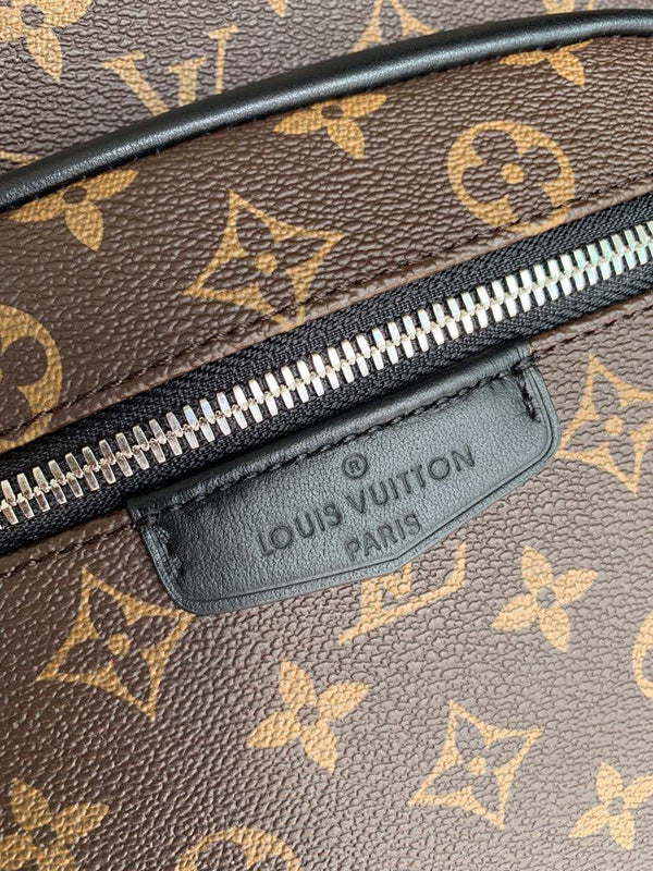 Louis Vuitton Luxury Bags 2815