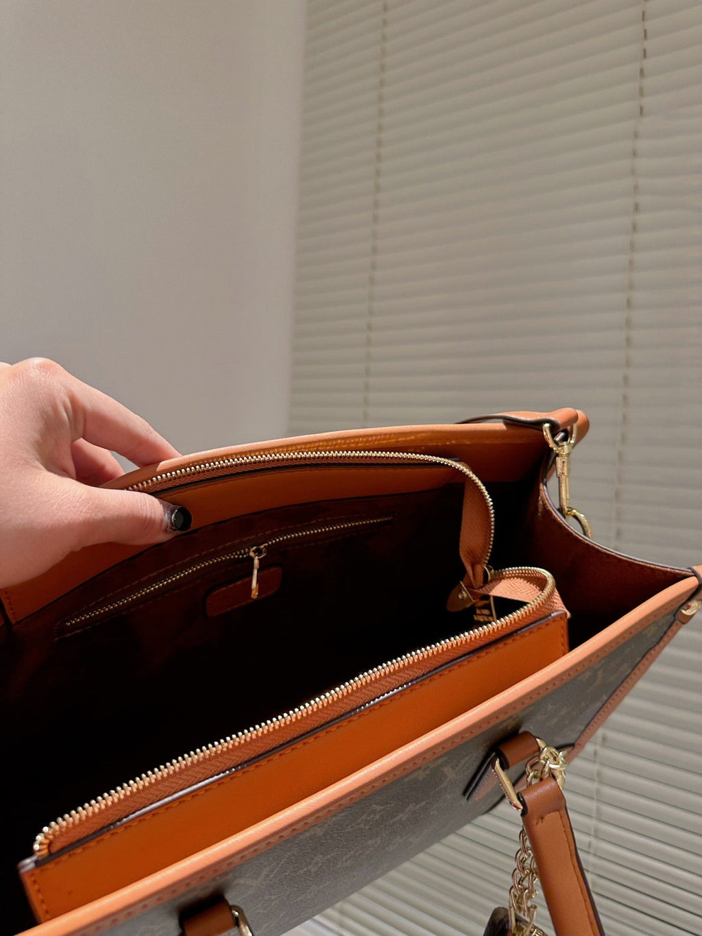 Luxury Bags Louis Vuitton  736