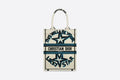 Vertical Dior Book Tote White Multicolor Lucky Star Embroidery